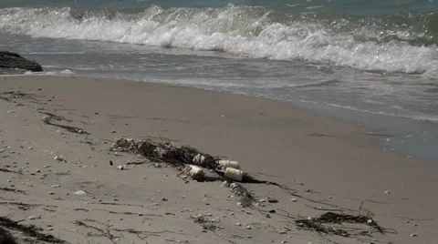 Sea of Azov Video stock 36295078