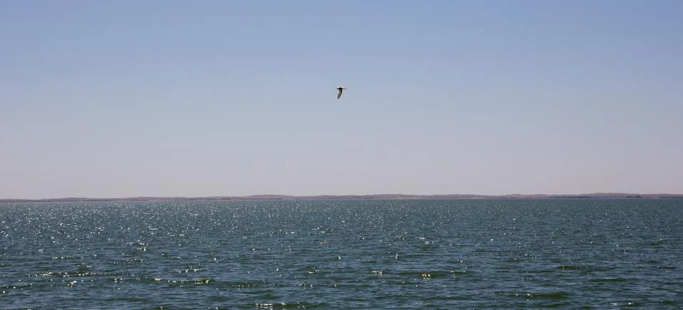 Sea as a backdrop Stock Photos