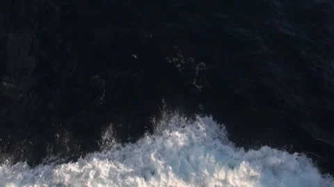 Sea background with flying fish. Stock Footage 90677271
