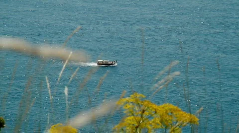 Sea background 動画素材 781833