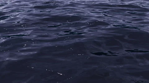 Sea Background Loop Vídeos de archivo 291651095