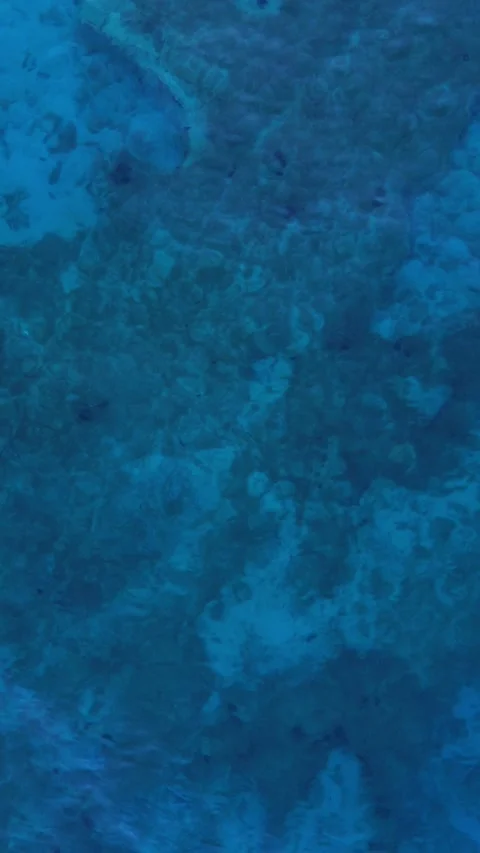 Sea background, sea surface with water movement. Adriatic sea view Stock Footage 297660434