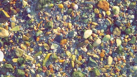 Sea background with shells. Close-up texture. Filtered photo 스톡 사진