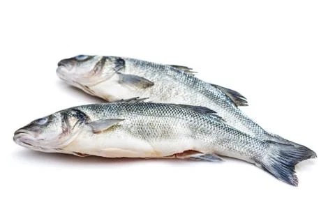 Sea bass fish on withe background Stock Photos