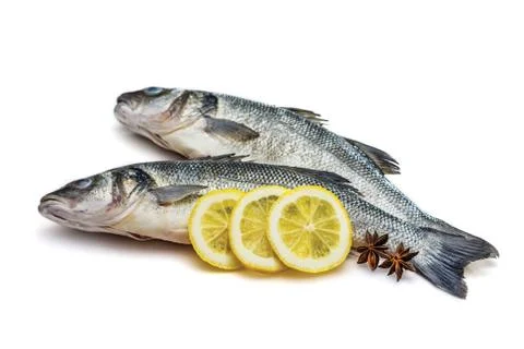 Sea bass fish on withe background Stock Photos