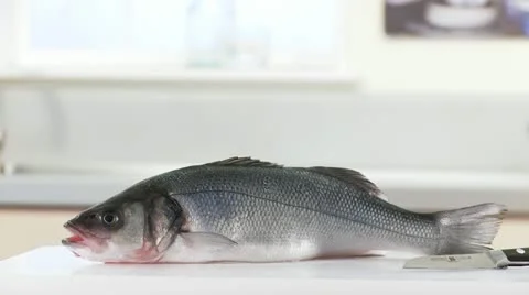A sea bass Stock Footage 24644304
