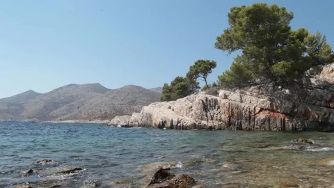 Sea Bay with Pine Trees  動画素材 109651507