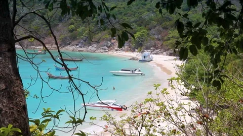 Sea beach and trees Video stock 89575688