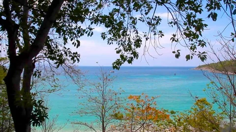 Sea beach and trees Stock Footage 89575919