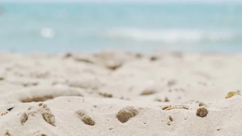 Sea Beach Background Stock Footage 135018483