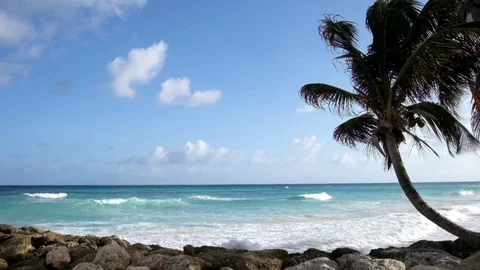 The sea from the beach in Barbados Stock Footage 87873330