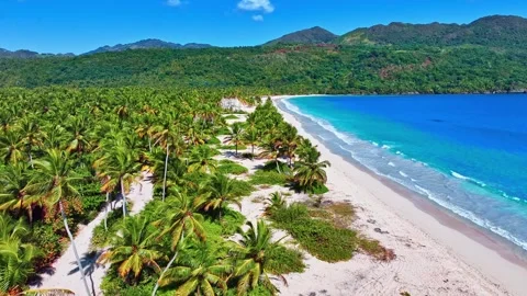 Sea beach with coconut palms, panoramic view with a large space to visit. Stock Footage 305672753