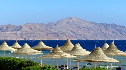 Sea beach in Egypt Stock Footage 41530977