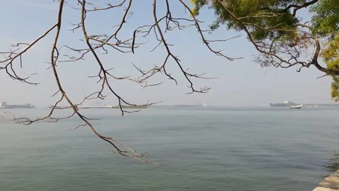 Sea beach 스톡 동영상 155348778