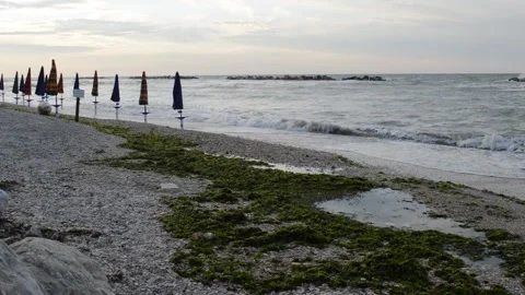 Sea beach Video stock 157419326