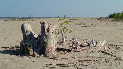 Sea beach landscape Stock Footage 104003511
