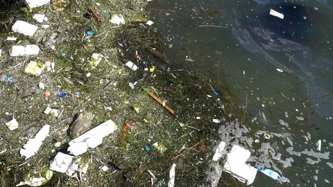 Sea Beach Litter Stock Footage 128987548