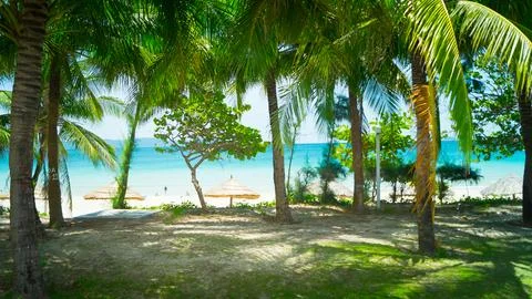 Sea beach. Stock Photos