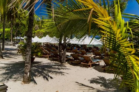 The sea beach. Stock Photos