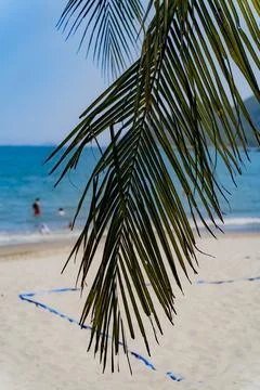 The sea beach. Stock Photos