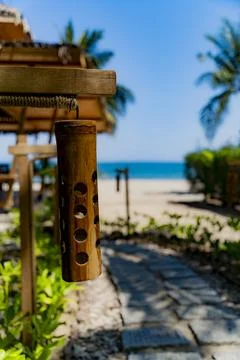 The sea beach. Stock Photos