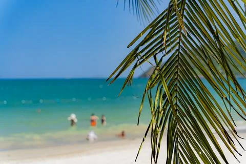 The sea beach. Stock-Fotos