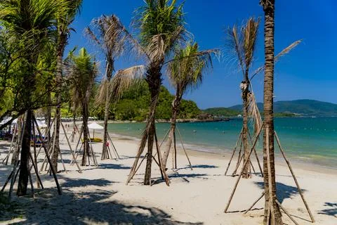 The sea beach. Stock Photos