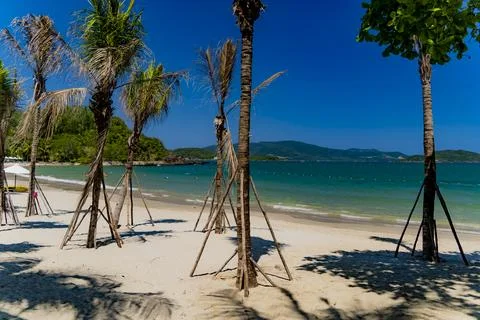 The sea beach. Stock Photos
