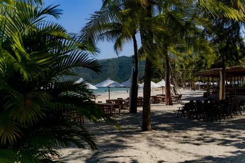 The sea beach. Stock Photos
