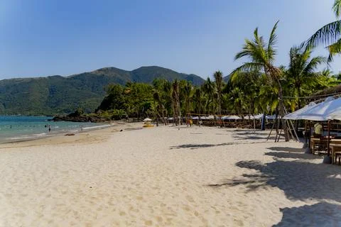 The sea beach. Stock Photos