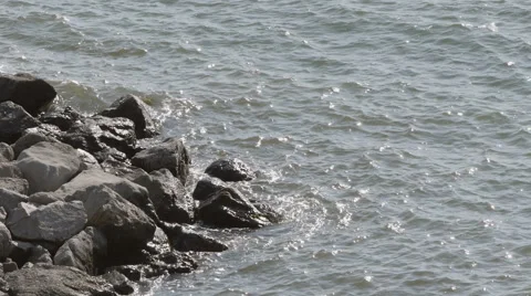 Sea Beach Rocks Stock Footage 52432179