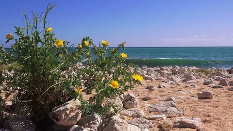 Sea beach in spring, Turkey Stock Footage 95819111