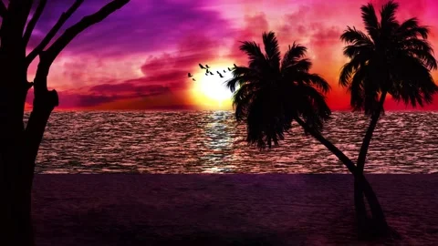 Sea Beach sunset &amp; Palm trees 스톡 동영상 202113501