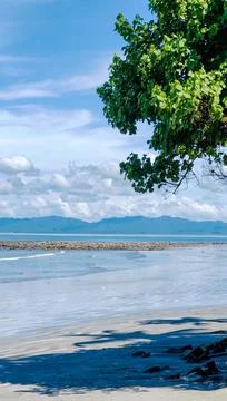 Sea beach tree angle Stock Photos