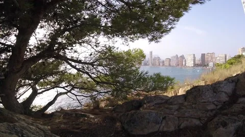 Sea beach tree the rock Vidéo 158894702