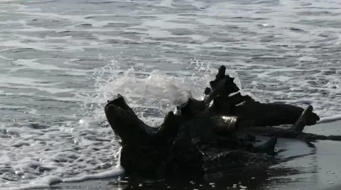 Sea beach wave Stock Footage 63953693