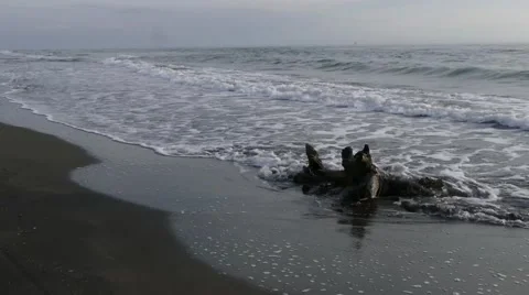 Sea beach wave Stock Footage 63954269