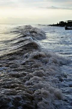 Sea  beach wave Фото