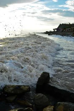 Sea  beach wave Фото