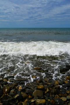 Sea  beach wave Фото