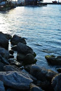 Sea  beach wave Фото