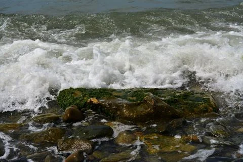 Sea  beach wave Stock Photos