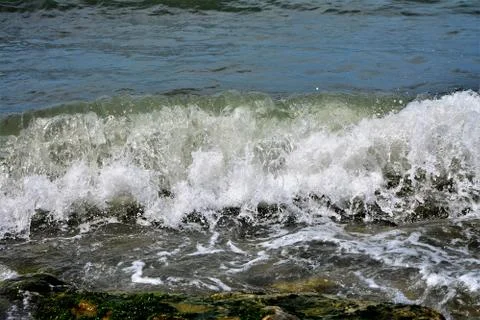 Sea  beach wave Фото