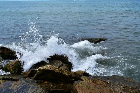 Sea  beach wave Фото