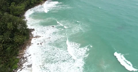 Sea beach wave sand beach with palm tree summer vacation movement video Stock Footage 134705293