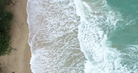 Sea beach wave sand beach with palm tree summer vacation movement video Stock Footage 134705740