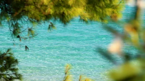 Sea, beache and summer Stock-Footage 42790795