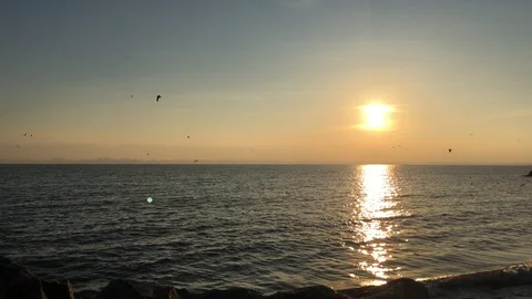 Sea beautiful sunset  Stock Footage 98144626