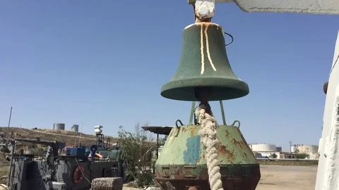 Sea bell Stock Footage 80505553