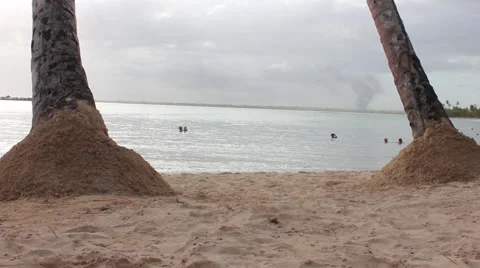 Sea between palm trees. Stock Footage 40632978